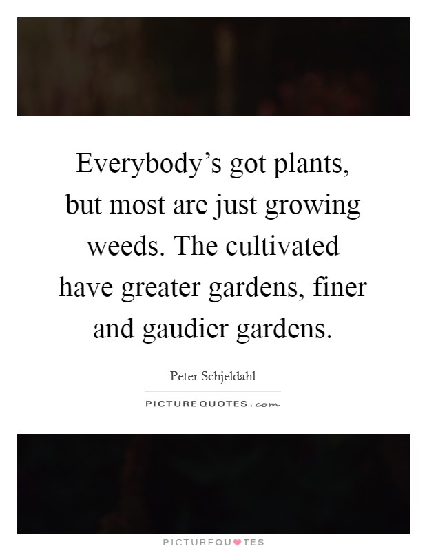 Everybody's got plants, but most are just growing weeds. The cultivated have greater gardens, finer and gaudier gardens. Picture Quote #1