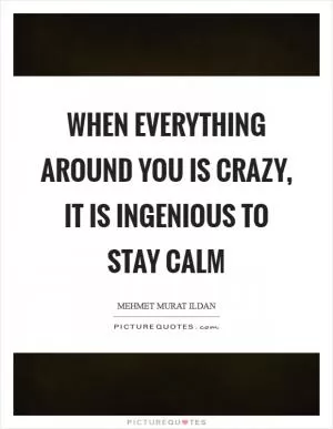 When everything around you is crazy, it is ingenious to stay calm Picture Quote #1