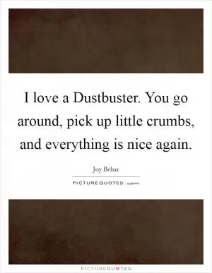 I love a Dustbuster. You go around, pick up little crumbs, and everything is nice again Picture Quote #1