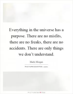 Everything in the universe has a purpose. There are no misfits, there are no freaks, there are no accidents. There are only things we don’t understand Picture Quote #1