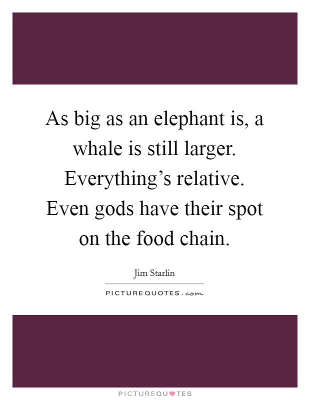 As big as an elephant is, a whale is still larger. Everything's relative. Even gods have their spot on the food chain. Picture Quote #1