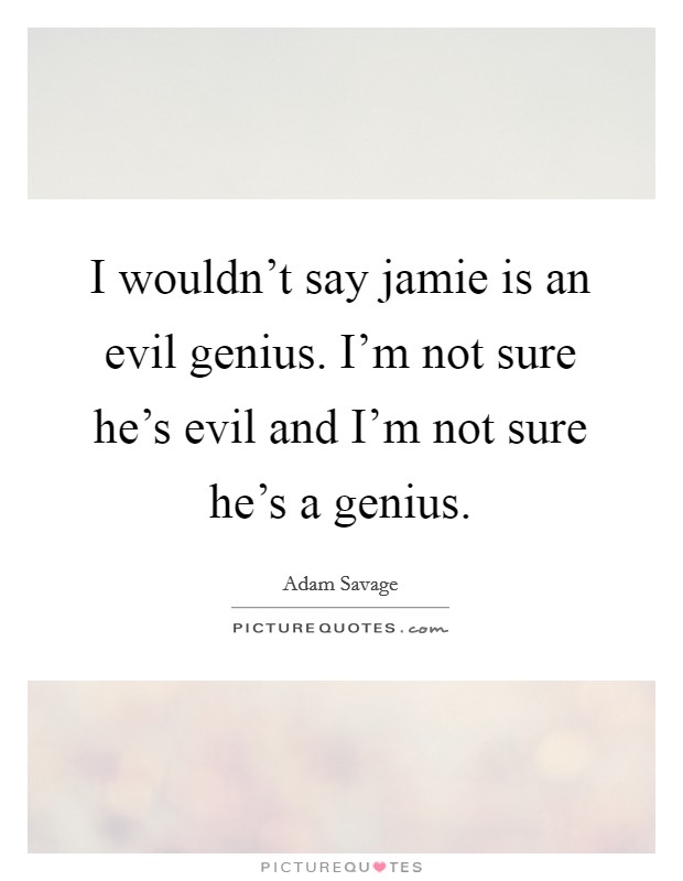 I wouldn't say jamie is an evil genius. I'm not sure he's evil and I'm not sure he's a genius. Picture Quote #1