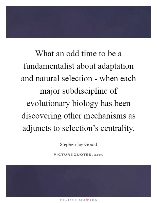 What an odd time to be a fundamentalist about adaptation and natural selection - when each major subdiscipline of evolutionary biology has been discovering other mechanisms as adjuncts to selection's centrality. Picture Quote #1