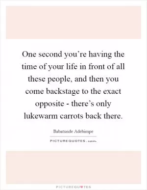 One second you’re having the time of your life in front of all these people, and then you come backstage to the exact opposite - there’s only lukewarm carrots back there Picture Quote #1