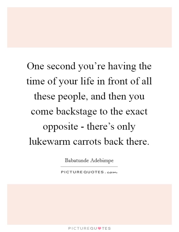 One second you're having the time of your life in front of all these people, and then you come backstage to the exact opposite - there's only lukewarm carrots back there. Picture Quote #1