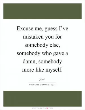Excuse me, guess I’ve mistaken you for somebody else, somebody who gave a damn, somebody more like myself Picture Quote #1