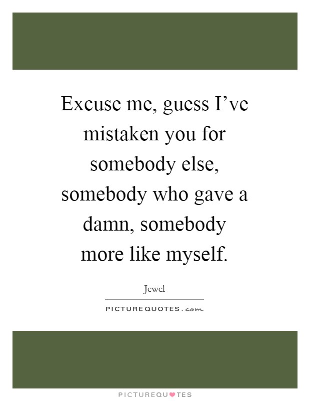 Excuse me, guess I've mistaken you for somebody else, somebody who gave a damn, somebody more like myself. Picture Quote #1