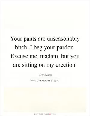 Your pants are unseasonably bitch. I beg your pardon. Excuse me, madam, but you are sitting on my erection Picture Quote #1
