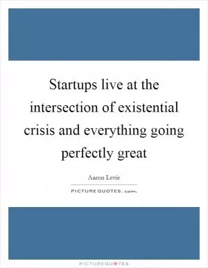 Startups live at the intersection of existential crisis and everything going perfectly great Picture Quote #1