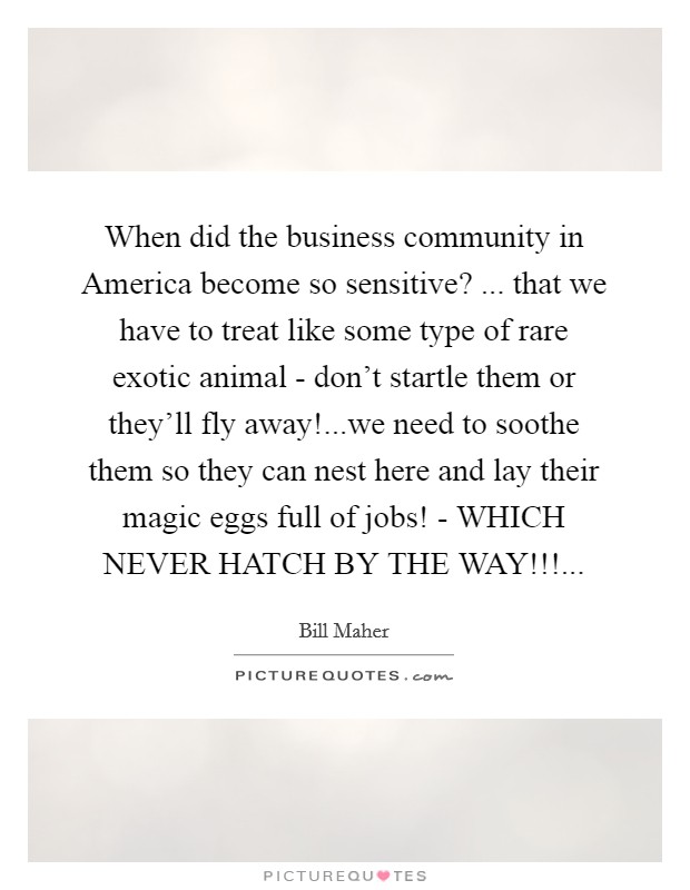 When did the business community in America become so sensitive? ... that we have to treat like some type of rare exotic animal - don't startle them or they'll fly away!...we need to soothe them so they can nest here and lay their magic eggs full of jobs! - WHICH NEVER HATCH BY THE WAY!!!... Picture Quote #1