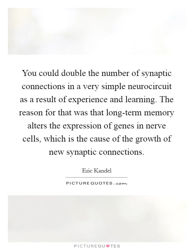 You could double the number of synaptic connections in a very simple neurocircuit as a result of experience and learning. The reason for that was that long-term memory alters the expression of genes in nerve cells, which is the cause of the growth of new synaptic connections. Picture Quote #1