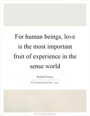 For human beings, love is the most important fruit of experience in the sense world Picture Quote #1