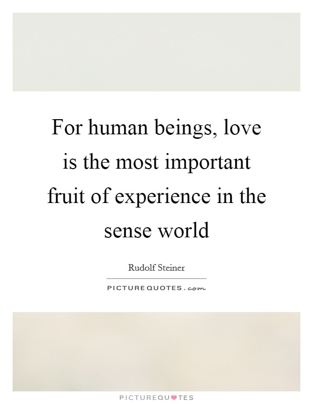 For human beings, love is the most important fruit of experience in the sense world Picture Quote #1
