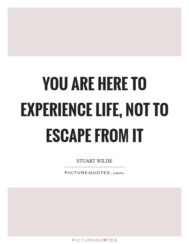 You are here to experience life, not to escape from it Picture Quote #1