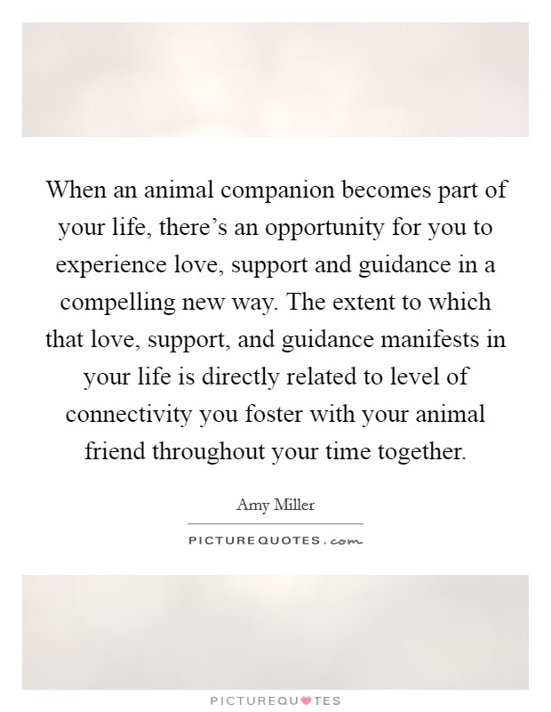 When an animal companion becomes part of your life, there's an opportunity for you to experience love, support and guidance in a compelling new way. The extent to which that love, support, and guidance manifests in your life is directly related to level of connectivity you foster with your animal friend throughout your time together. Picture Quote #1