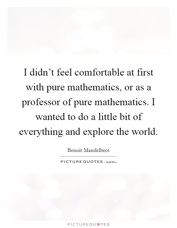 I didn't feel comfortable at first with pure mathematics, or as a professor of pure mathematics. I wanted to do a little bit of everything and explore the world. Picture Quote #1