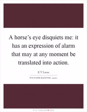 A horse’s eye disquiets me: it has an expression of alarm that may at any moment be translated into action Picture Quote #1