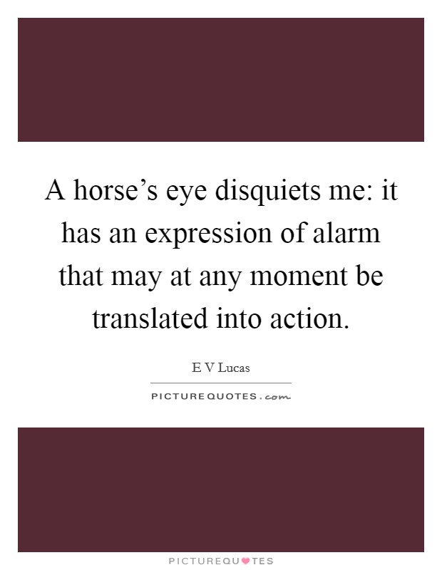 A horse's eye disquiets me: it has an expression of alarm that may at any moment be translated into action. Picture Quote #1