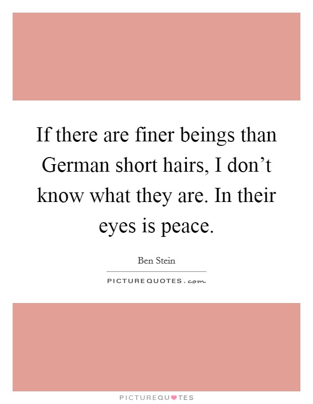 If there are finer beings than German short hairs, I don't know what they are. In their eyes is peace. Picture Quote #1