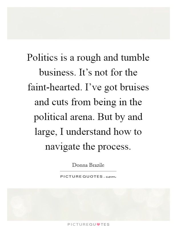 Politics is a rough and tumble business. It's not for the faint-hearted. I've got bruises and cuts from being in the political arena. But by and large, I understand how to navigate the process. Picture Quote #1