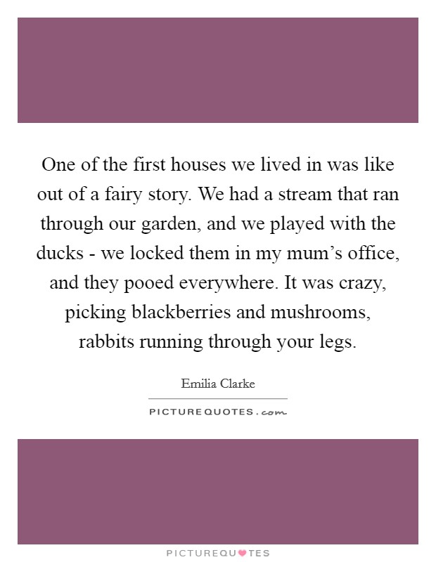 One of the first houses we lived in was like out of a fairy story. We had a stream that ran through our garden, and we played with the ducks - we locked them in my mum's office, and they pooed everywhere. It was crazy, picking blackberries and mushrooms, rabbits running through your legs. Picture Quote #1