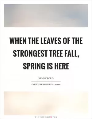 When the leaves of the strongest tree fall, spring is here Picture Quote #1