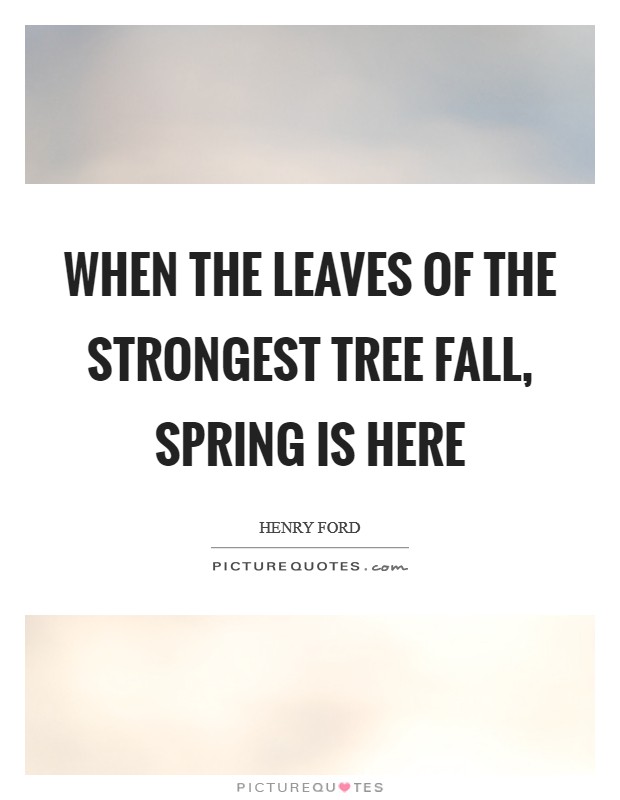 When the leaves of the strongest tree fall, spring is here Picture Quote #1
