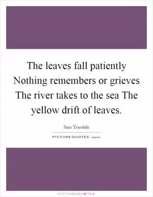 The leaves fall patiently Nothing remembers or grieves The river takes to the sea The yellow drift of leaves Picture Quote #1