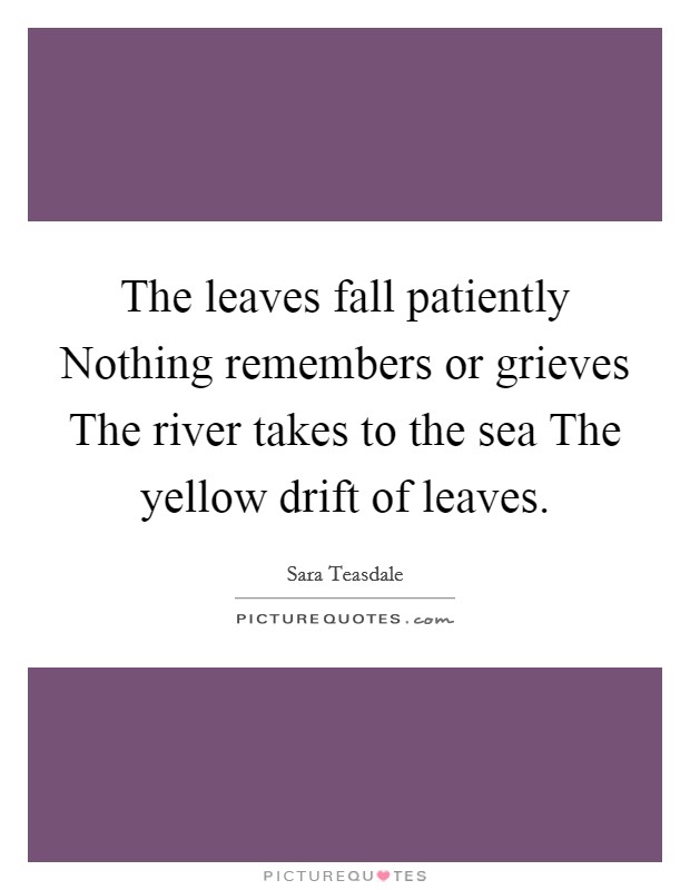 The leaves fall patiently Nothing remembers or grieves The river takes to the sea The yellow drift of leaves. Picture Quote #1