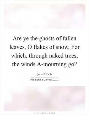 Are ye the ghosts of fallen leaves, O flakes of snow, For which, through naked trees, the winds A-mourning go? Picture Quote #1