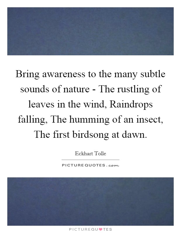 Bring awareness to the many subtle sounds of nature - The rustling of leaves in the wind, Raindrops falling, The humming of an insect, The first birdsong at dawn. Picture Quote #1