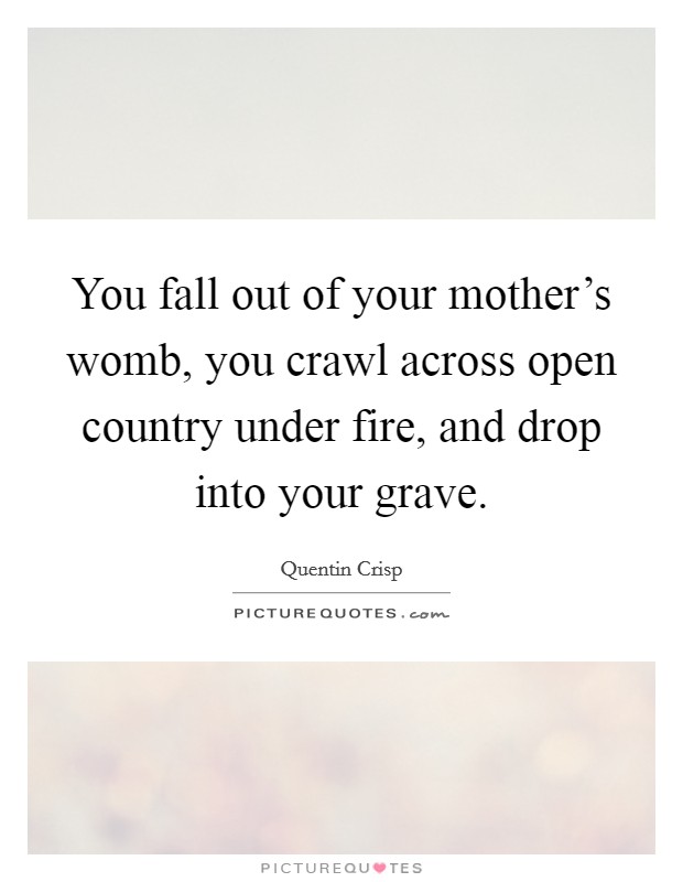 You fall out of your mother's womb, you crawl across open country under fire, and drop into your grave. Picture Quote #1