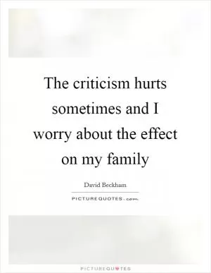 The criticism hurts sometimes and I worry about the effect on my family Picture Quote #1