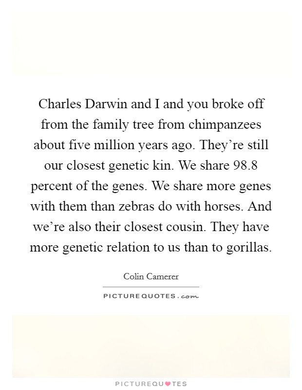 Charles Darwin and I and you broke off from the family tree from chimpanzees about five million years ago. They're still our closest genetic kin. We share 98.8 percent of the genes. We share more genes with them than zebras do with horses. And we're also their closest cousin. They have more genetic relation to us than to gorillas. Picture Quote #1