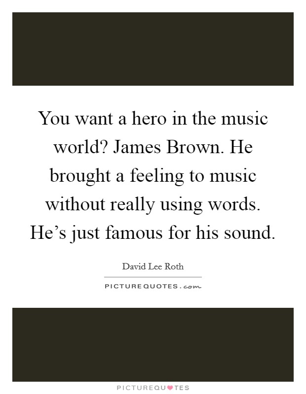 You want a hero in the music world? James Brown. He brought a feeling to music without really using words. He's just famous for his sound. Picture Quote #1