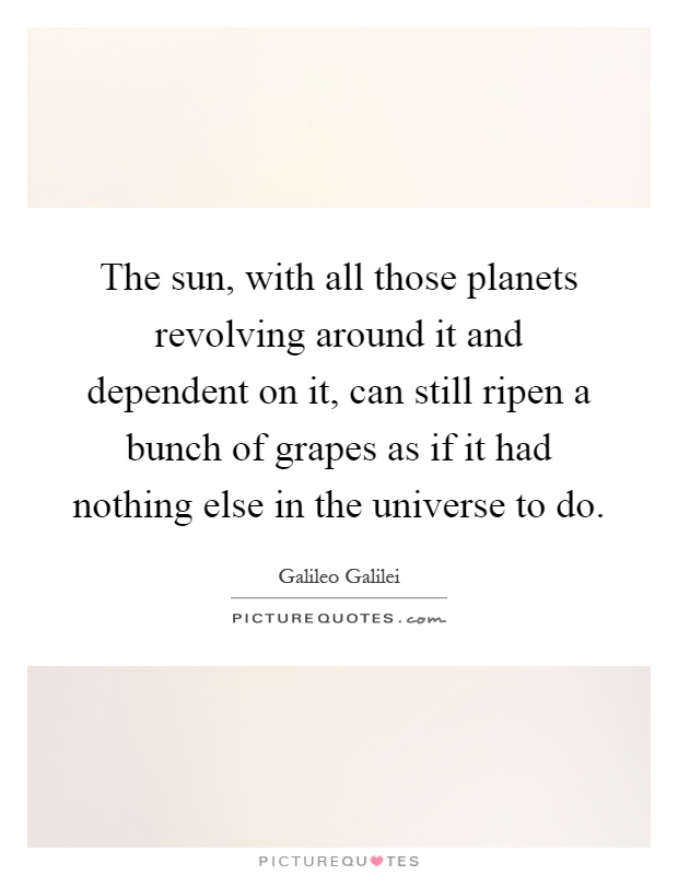 The sun, with all those planets revolving around it and dependent on it, can still ripen a bunch of grapes as if it had nothing else in the universe to do Picture Quote #1