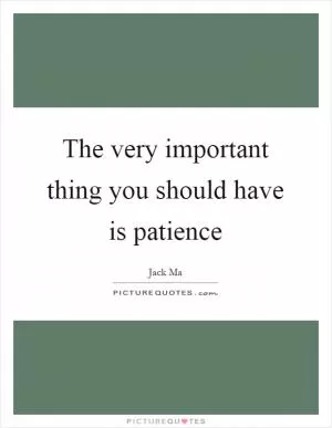 The very important thing you should have is patience Picture Quote #1