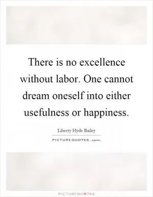 There is no excellence without labor. One cannot dream oneself into either usefulness or happiness Picture Quote #1