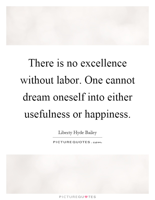 There is no excellence without labor. One cannot dream oneself into either usefulness or happiness Picture Quote #1