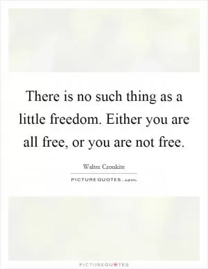 There is no such thing as a little freedom. Either you are all free, or you are not free Picture Quote #1