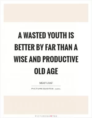 A wasted youth is better by far than a wise and productive old age Picture Quote #1