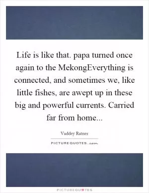 Life is like that. papa turned once again to the MekongEverything is connected, and sometimes we, like little fishes, are awept up in these big and powerful currents. Carried far from home Picture Quote #1
