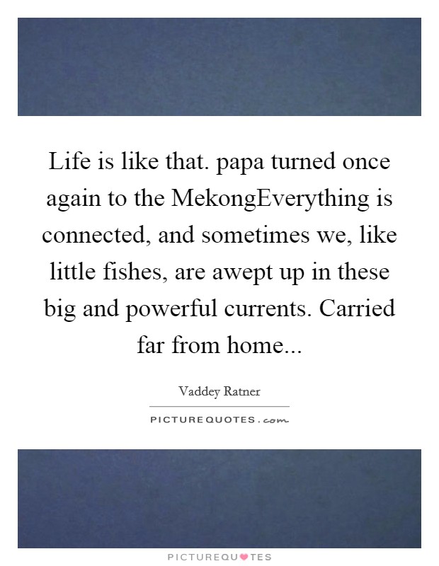 Life is like that. papa turned once again to the MekongEverything is connected, and sometimes we, like little fishes, are awept up in these big and powerful currents. Carried far from home... Picture Quote #1