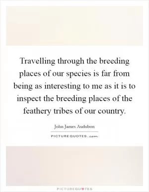 Travelling through the breeding places of our species is far from being as interesting to me as it is to inspect the breeding places of the feathery tribes of our country Picture Quote #1