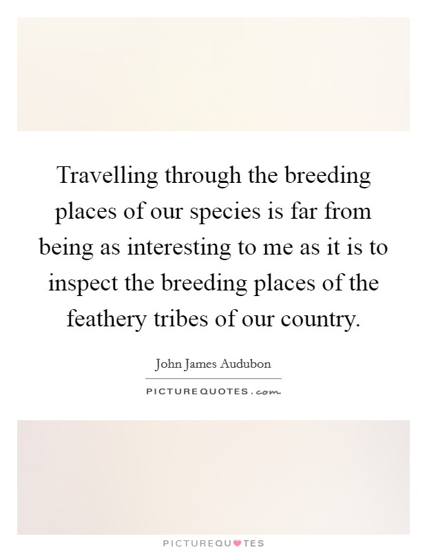 Travelling through the breeding places of our species is far from being as interesting to me as it is to inspect the breeding places of the feathery tribes of our country. Picture Quote #1