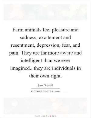Farm animals feel pleasure and sadness, excitement and resentment, depression, fear, and pain. They are far more aware and intelligent than we ever imagined...they are individuals in their own right Picture Quote #1