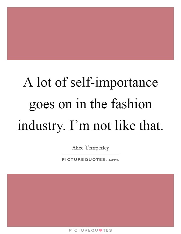 A lot of self-importance goes on in the fashion industry. I'm not like that. Picture Quote #1