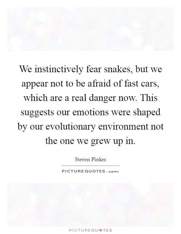 We instinctively fear snakes, but we appear not to be afraid of fast cars, which are a real danger now. This suggests our emotions were shaped by our evolutionary environment not the one we grew up in. Picture Quote #1