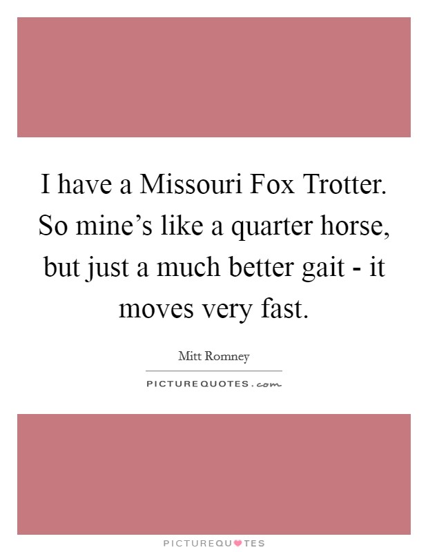I have a Missouri Fox Trotter. So mine's like a quarter horse, but just a much better gait - it moves very fast. Picture Quote #1