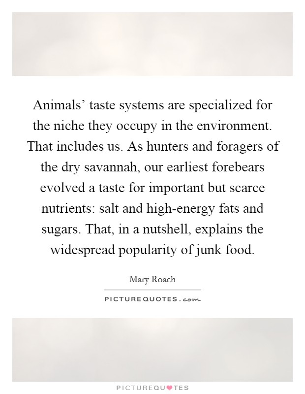 Animals' taste systems are specialized for the niche they occupy in the environment. That includes us. As hunters and foragers of the dry savannah, our earliest forebears evolved a taste for important but scarce nutrients: salt and high-energy fats and sugars. That, in a nutshell, explains the widespread popularity of junk food. Picture Quote #1